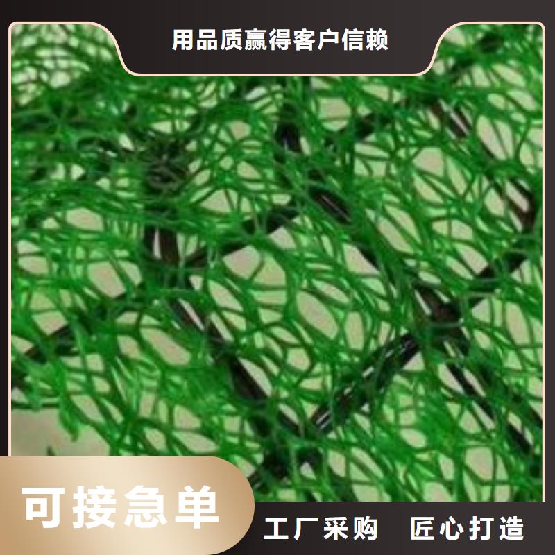 三维植被网水泥化粪池产品细节参数