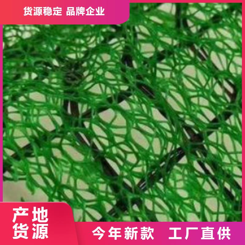 三維植被網(wǎng),車(chē)庫(kù)虹吸排水系統(tǒng)廠家直銷(xiāo)直供