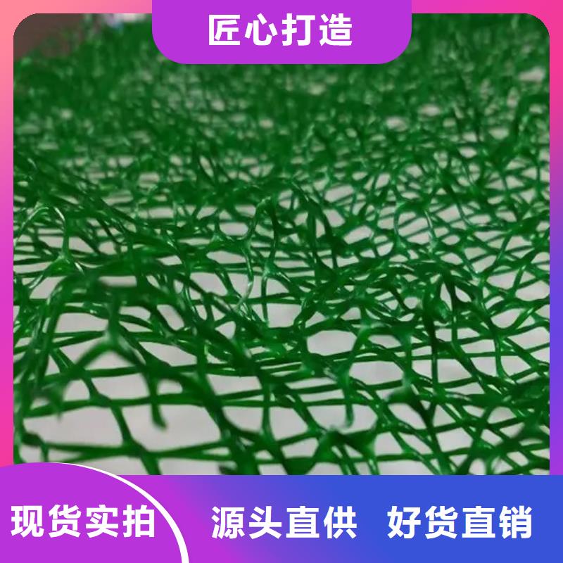 三維植被網(wǎng)_防護(hù)虹吸排水收集系統(tǒng)高質(zhì)量高信譽(yù)
