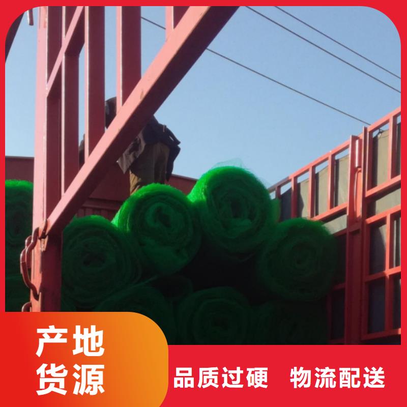 三维植被网植草格源厂直销