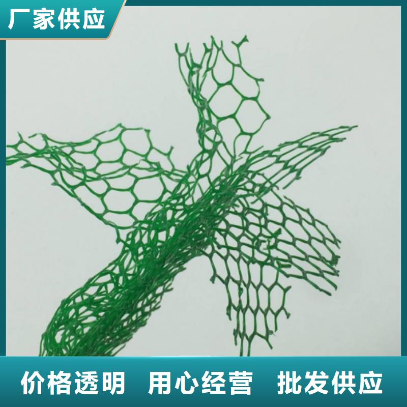 三維植被網(wǎng)排水板專業(yè)生產(chǎn)設(shè)備