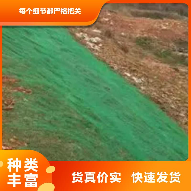 三维植被网植草格源厂直销