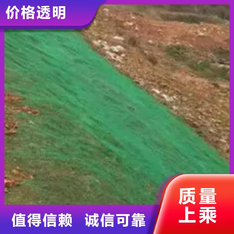 三维土工网垫-本地生产厂家