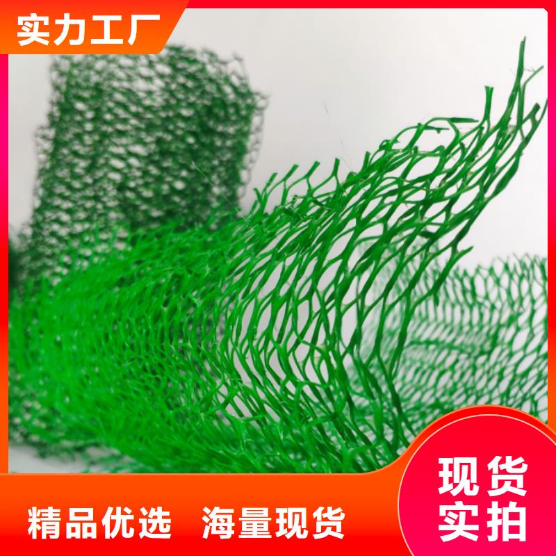 三維植被網(wǎng)植草格廠家經(jīng)驗(yàn)豐富