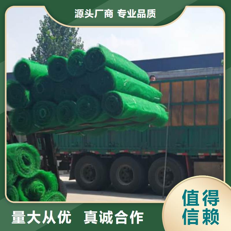 三維植被網(wǎng)-防護虹吸排水收集系統(tǒng)工廠價格