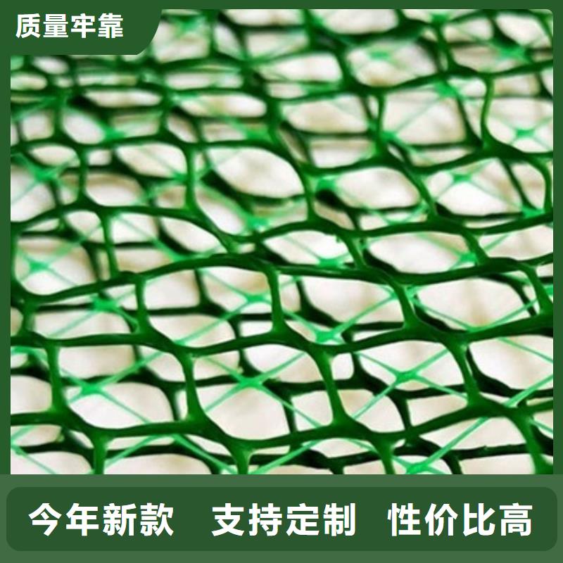 三維植被網(wǎng)植草格源廠直銷