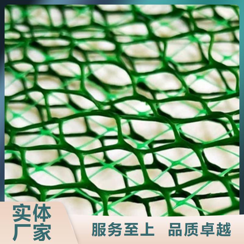 三維植被網(wǎng)-防護虹吸排水收集系統(tǒng)工廠價格