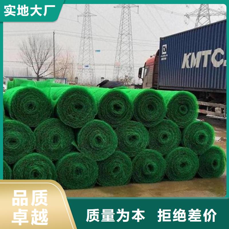 三維植被網(wǎng)排水板專業(yè)生產(chǎn)設(shè)備