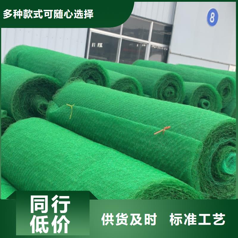 三維植被網(wǎng)防護虹吸排水收集系統(tǒng)廠誠信經(jīng)營