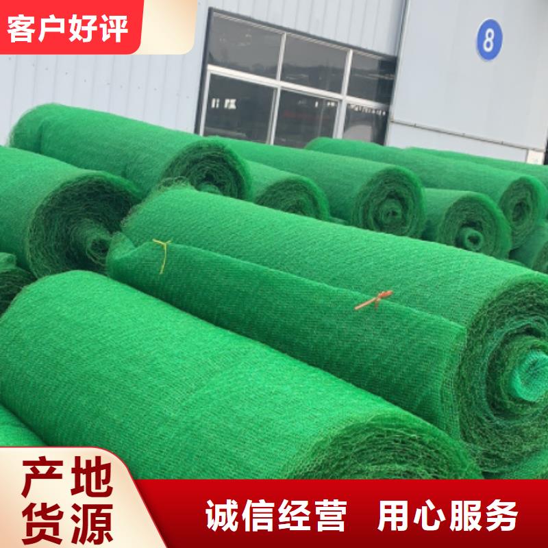 三維植被網(wǎng)-植草格誠信廠家