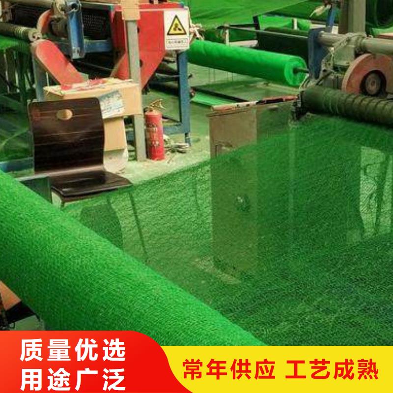 三维植被网水泥化粪池工艺层层把关