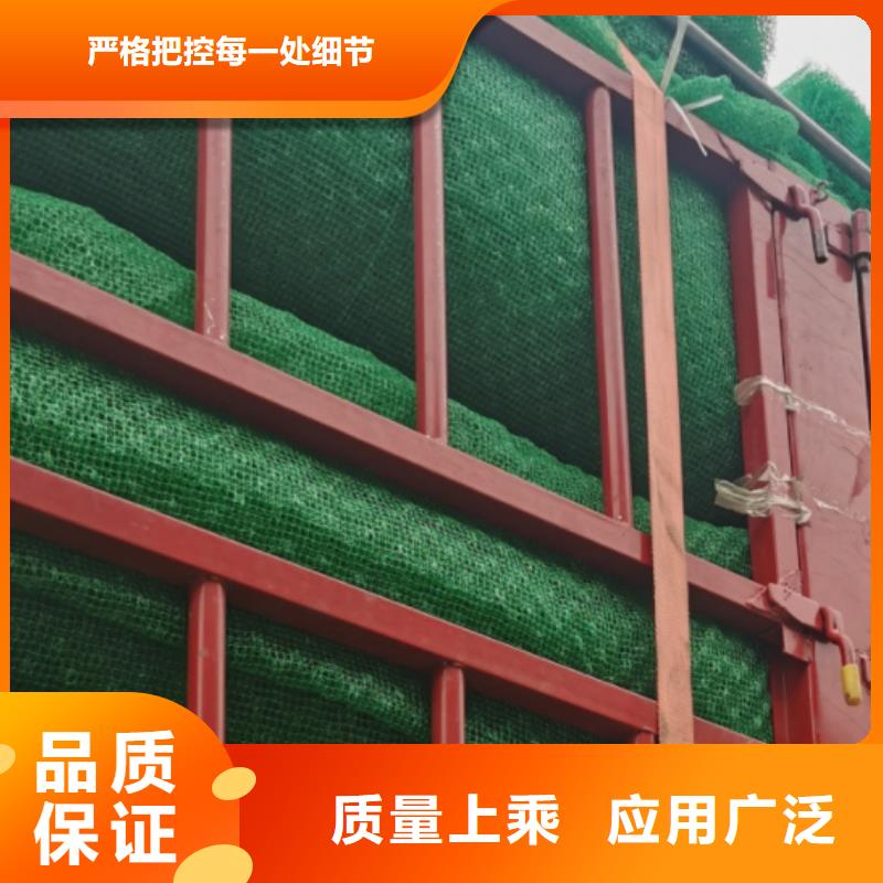 三维植被网_防护虹吸排水收集系统高质量高信誉