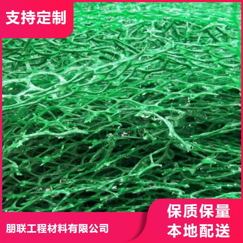 三維植被網(wǎng)_植草格定制不額外收費(fèi)