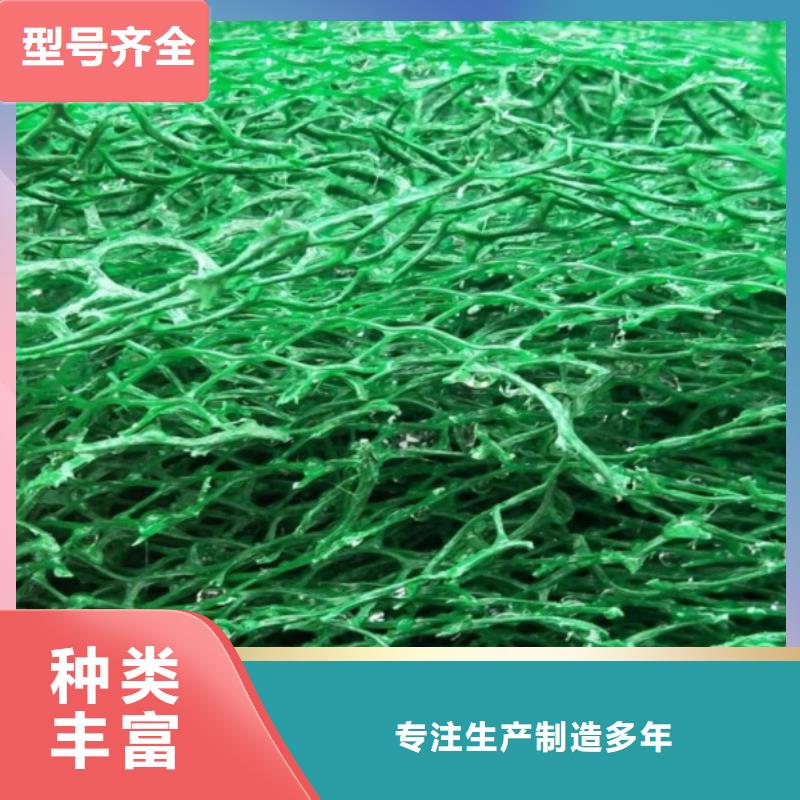 三維植被網(wǎng)_植草格定制不額外收費
