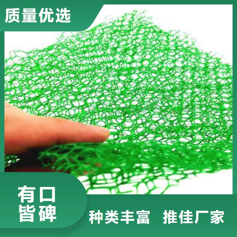 三維植被網(wǎng)-防護虹吸排水收集系統(tǒng)廠家直銷
