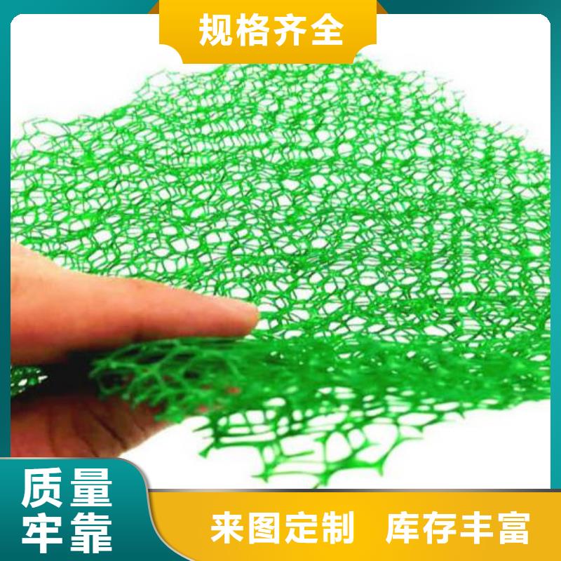 三維植被網(wǎng)植草格源廠直銷