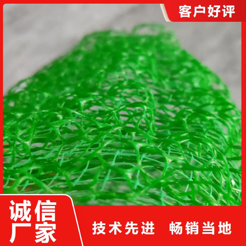 三維植被網(wǎng)_防護(hù)虹吸排水收集系統(tǒng)高質(zhì)量高信譽(yù)