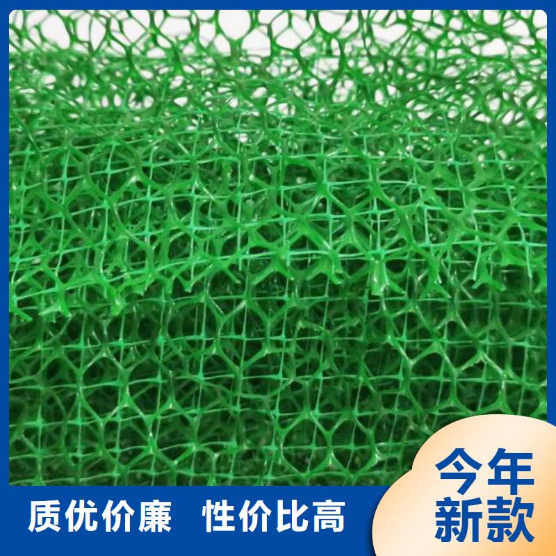 三维植被网水泥化粪池工艺层层把关