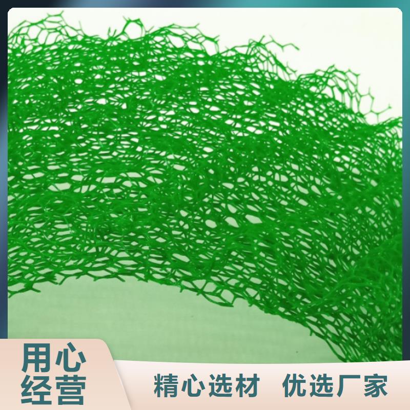 三維植被網(wǎng)排水板滿(mǎn)足客戶(hù)需求