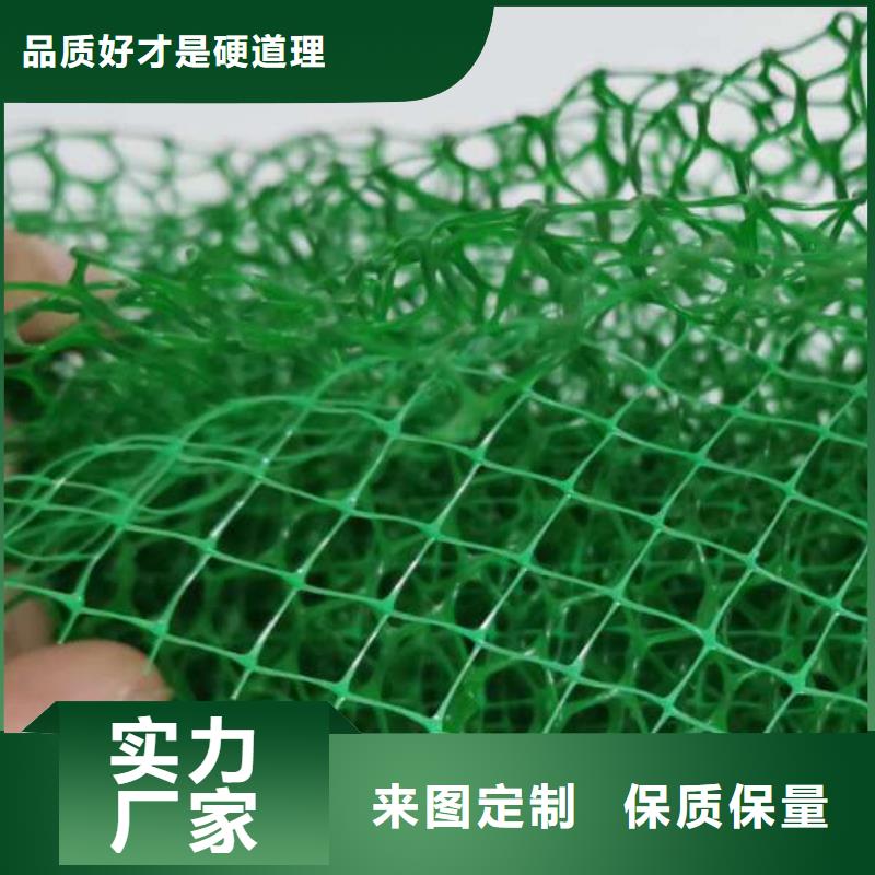 三維植被網(wǎng)防護虹吸排水收集系統(tǒng)廠誠信經(jīng)營
