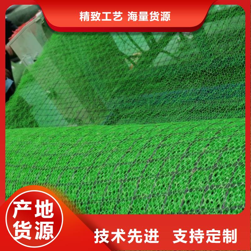 三维土工网垫-本地生产厂家