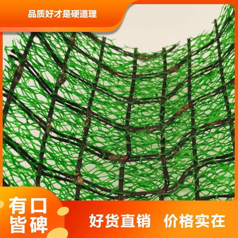 三维植被网_防护虹吸排水收集系统高质量高信誉