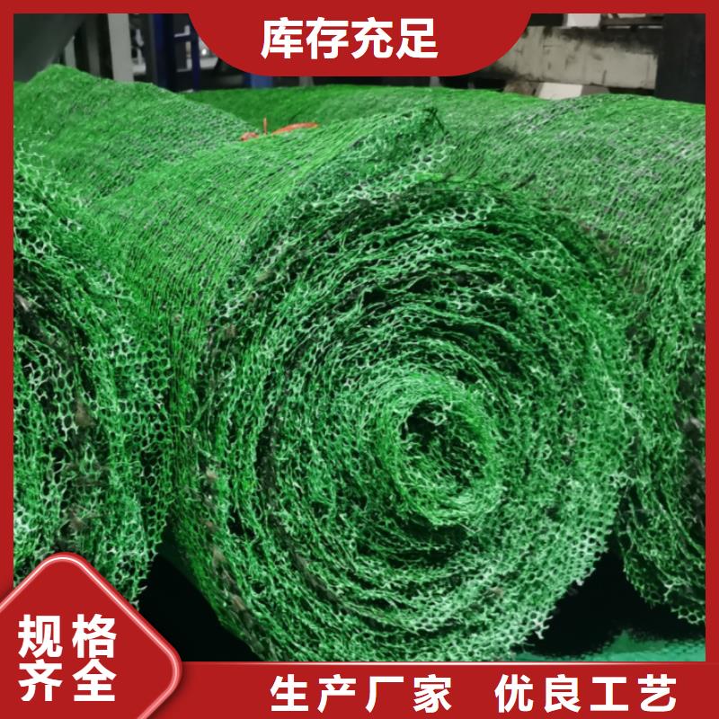三維植被網(wǎng)-防護(hù)虹吸排水收集系統(tǒng)品質(zhì)不將就