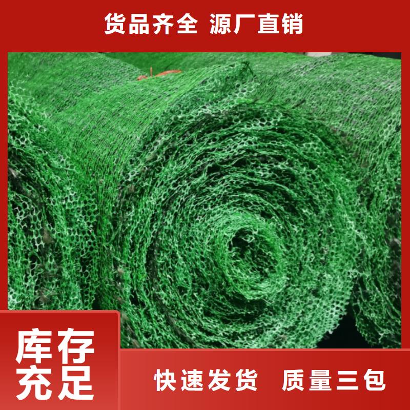 三維植被網(wǎng)_植草格定制不額外收費