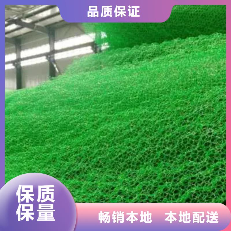 三維植被網(wǎng),車(chē)庫(kù)虹吸排水系統(tǒng)廠家直銷(xiāo)直供