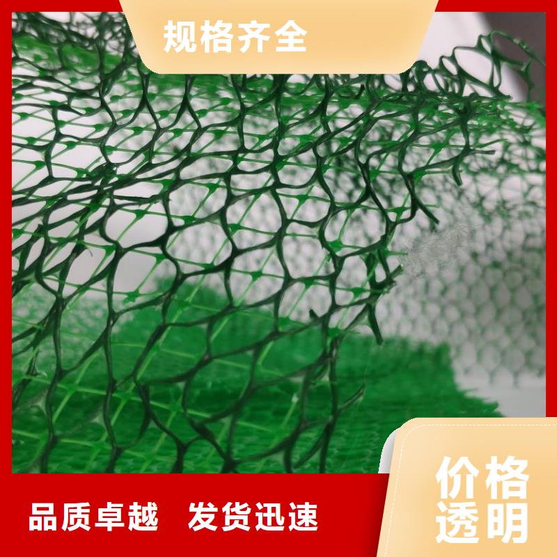 三維植被網(wǎng)_植草格定制不額外收費