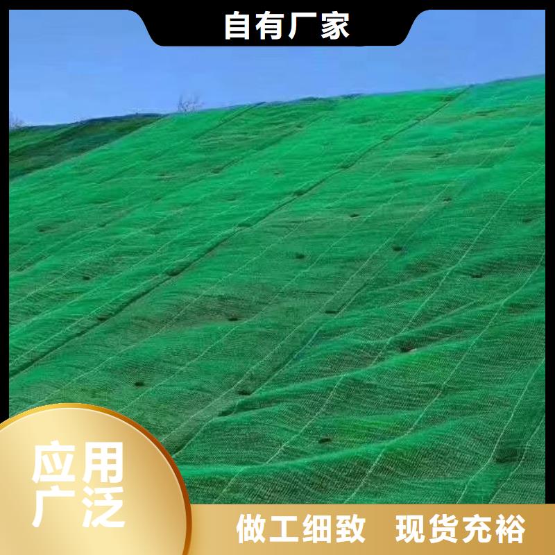 三維植被網(wǎng)_防護虹吸排水收集系統(tǒng)高質(zhì)量高信譽