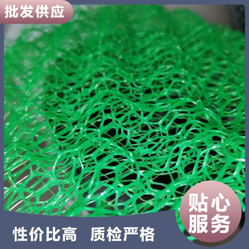 三维植被网-防护虹吸排水收集系统工厂价格