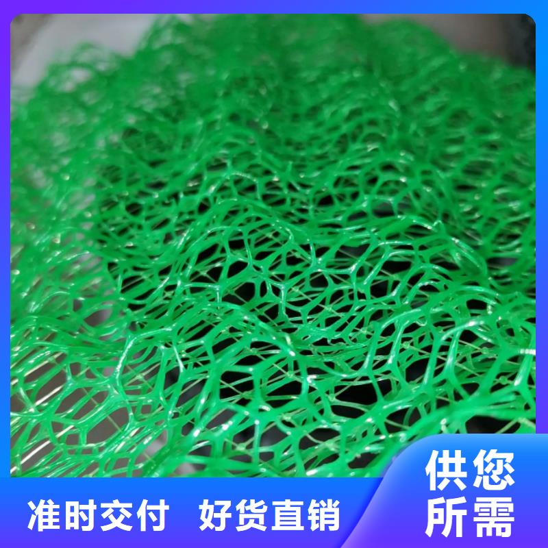 三維植被網(wǎng)-防護虹吸排水收集系統(tǒng)廠家直銷