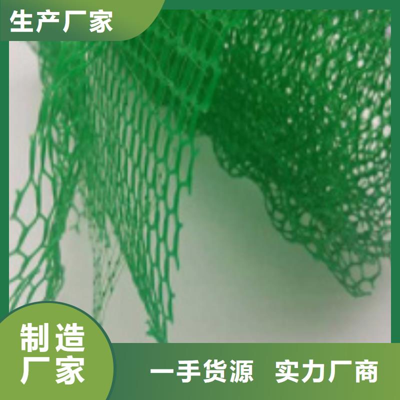 三維植被網(wǎng)植草格源廠直銷