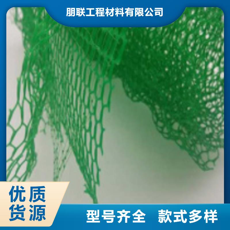三維植被網(wǎng)_植草格定制不額外收費
