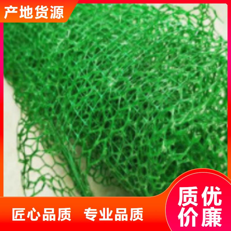 三維植被網(wǎng)_植草格定制不額外收費(fèi)