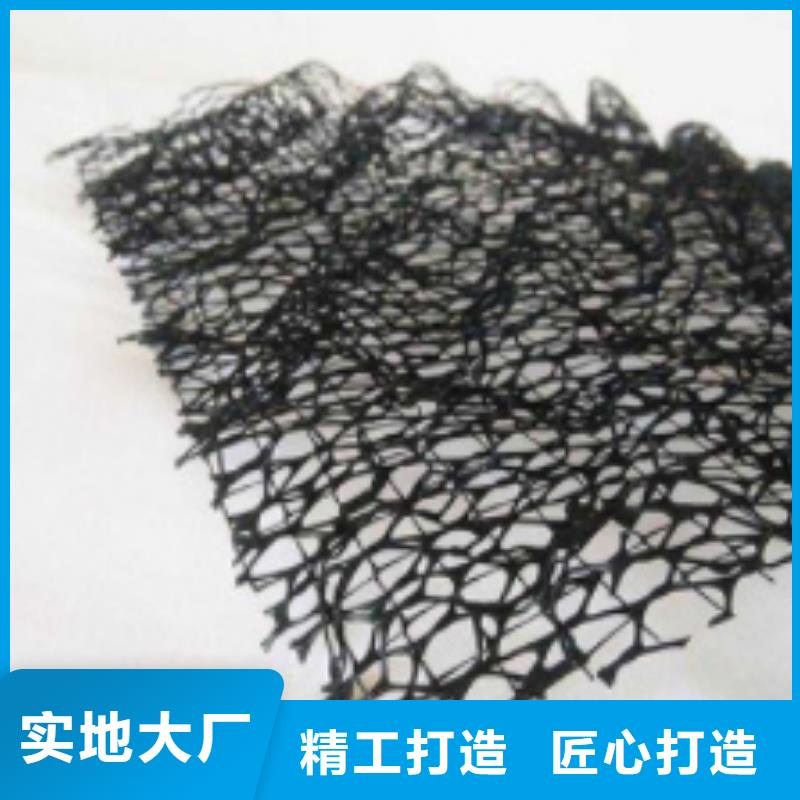 三維植被網(wǎng)-防護(hù)虹吸排水收集系統(tǒng)品質(zhì)不將就