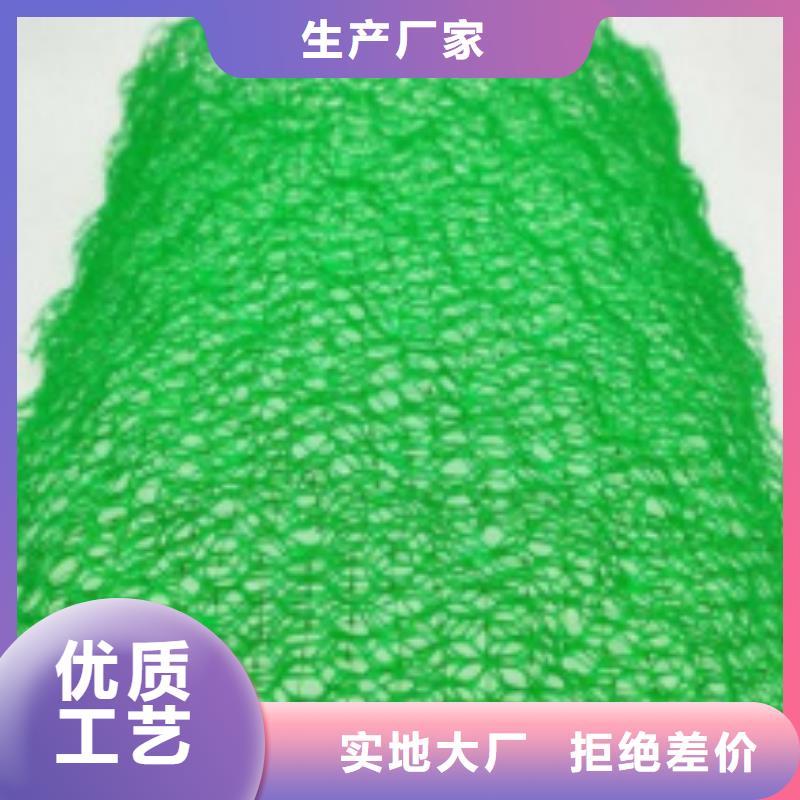 三维植被网-防护虹吸排水收集系统工厂价格