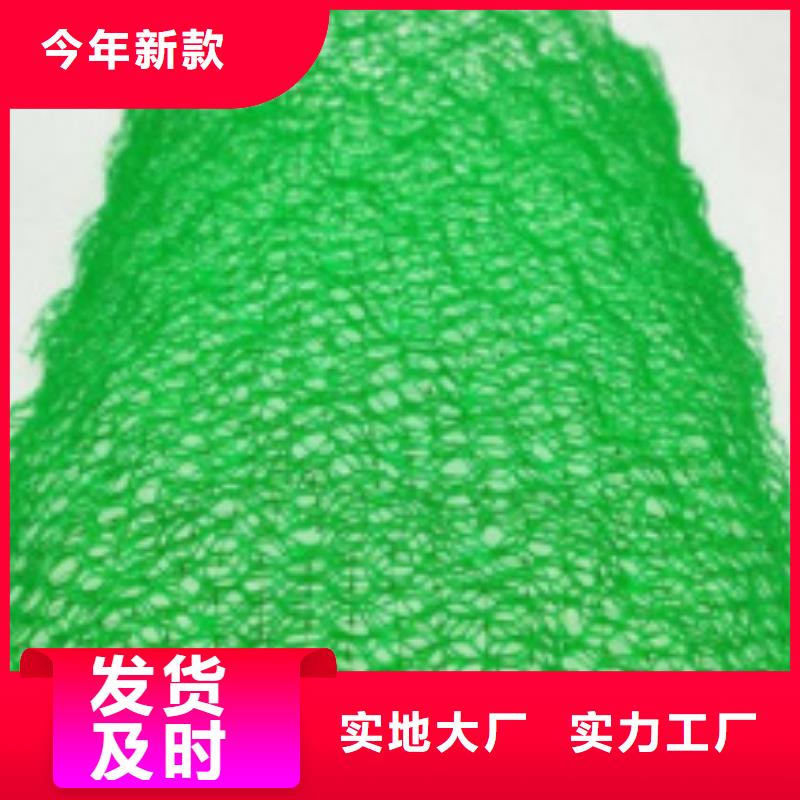 三維植被網(wǎng)_水泥化糞池支持批發(fā)零售