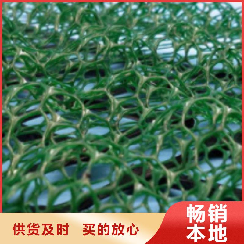 三維植被網(wǎng)防護虹吸排水收集系統(tǒng)廠誠信經(jīng)營
