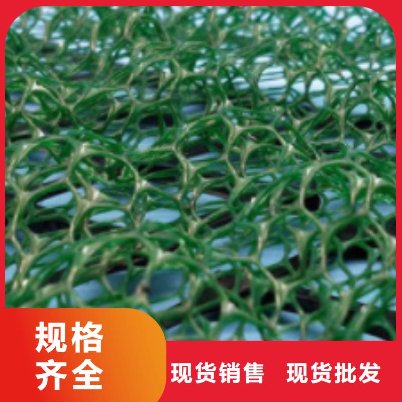 三維植被網(wǎng)植草格源廠直銷