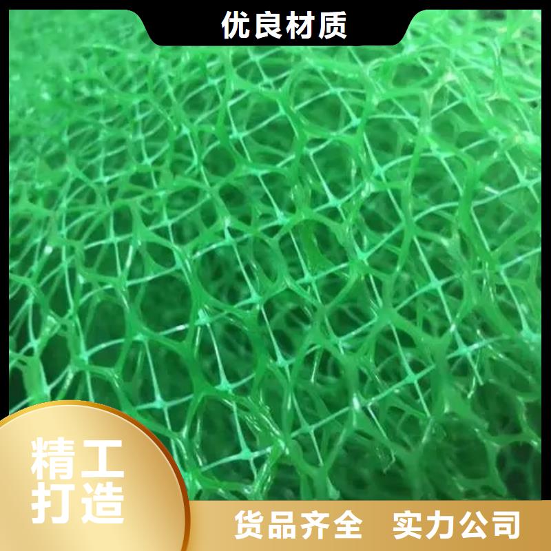 三維植被網(wǎng)植草格源廠直銷