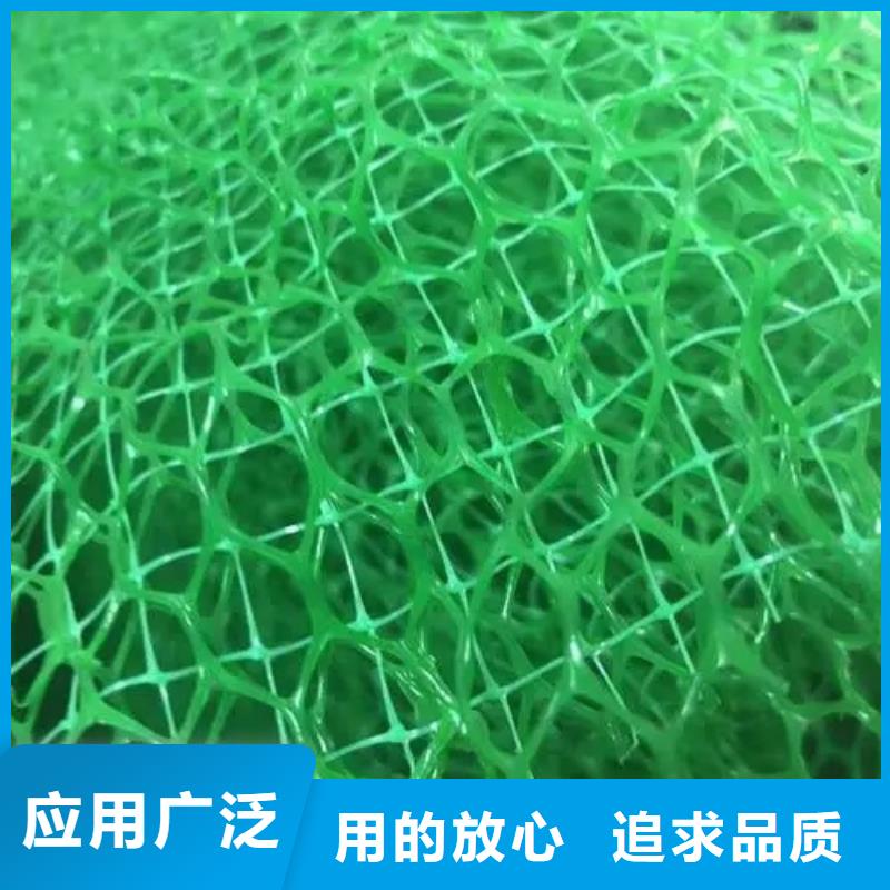 三維植被網(wǎng)_防護(hù)虹吸排水收集系統(tǒng)高質(zhì)量高信譽(yù)