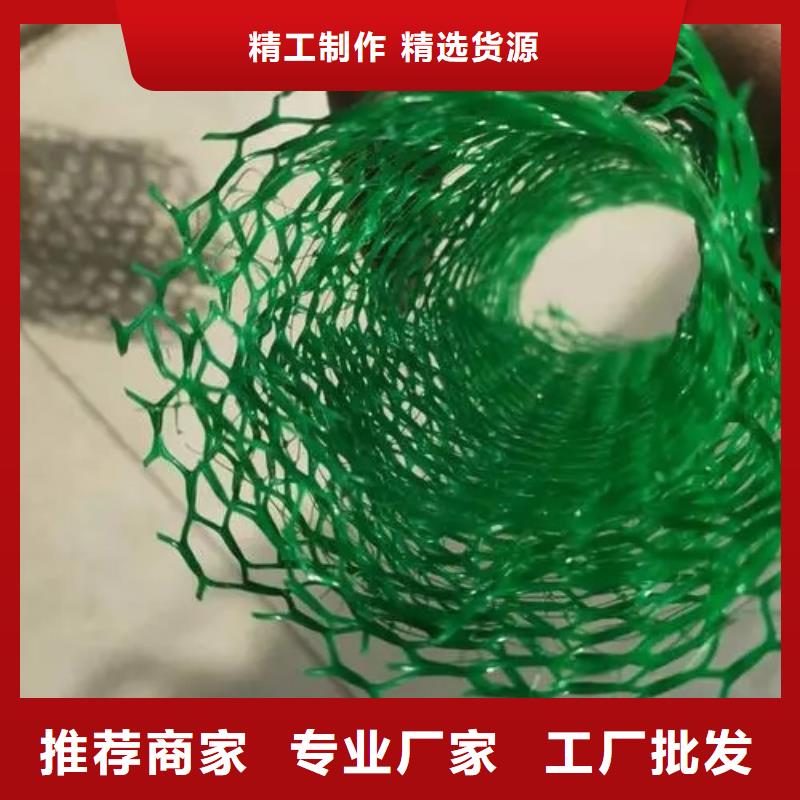 三维植被网_防护虹吸排水收集系统高质量高信誉