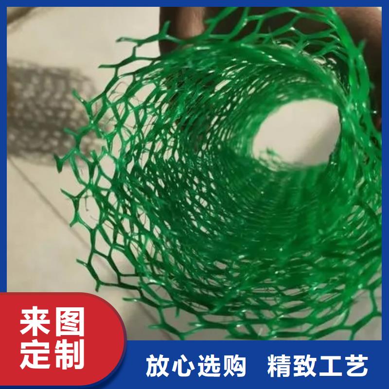 三维植被网-防护虹吸排水收集系统工厂价格