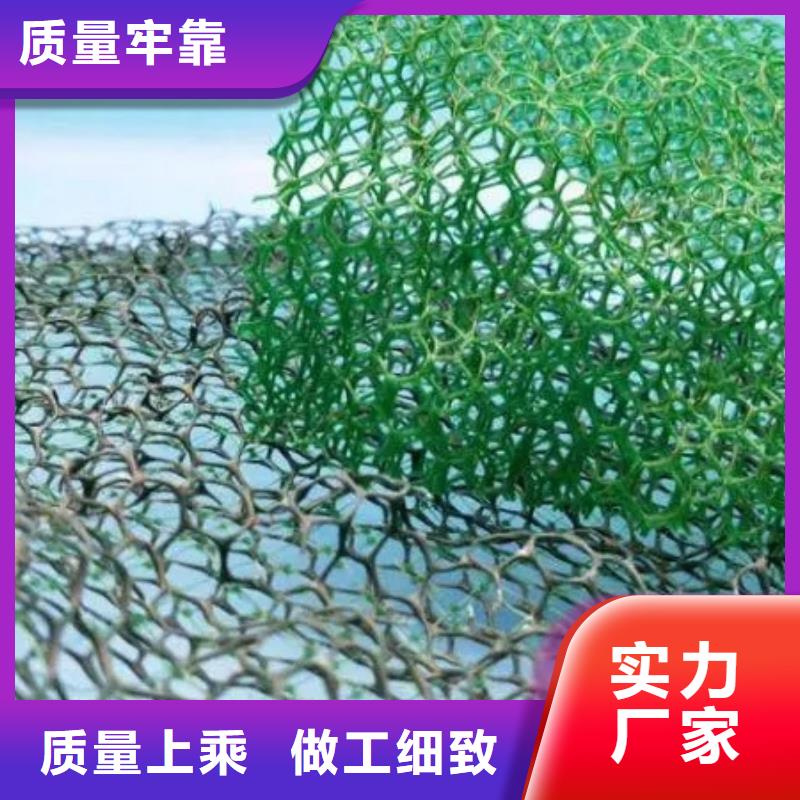 三維植被網(wǎng)-植草格誠信廠家