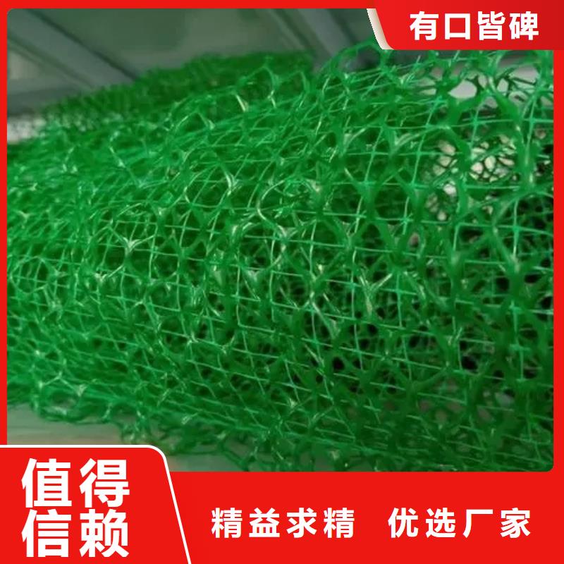 三维植被网-防护虹吸排水收集系统厂家直销