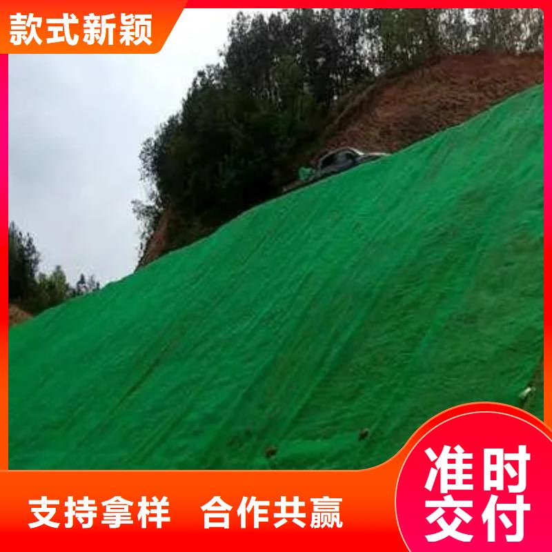 三维植被网,车库虹吸排水系统厂家直销直供