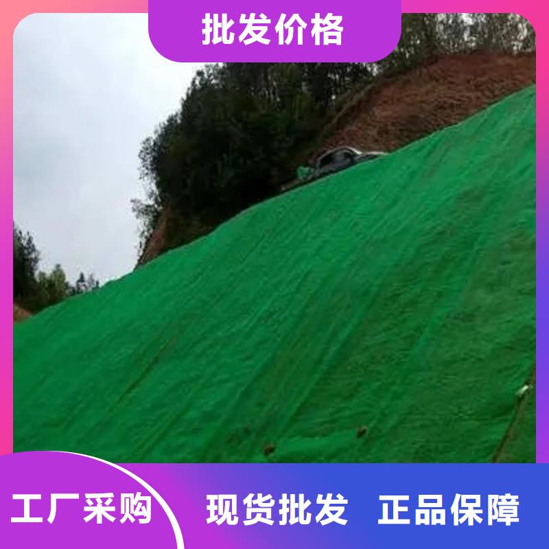 三維植被網(wǎng)-植草格誠信廠家