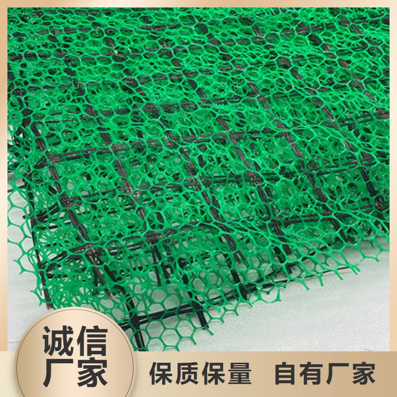 三维植被网排水板专业生产设备